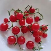 Raiの画像