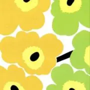 きっしーの画像