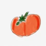 オレンジバードの画像