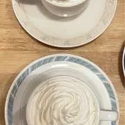 ニトの画像