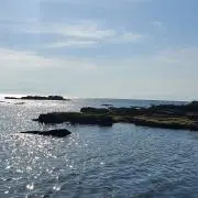 Pi　　　★発送平日のみ★の画像