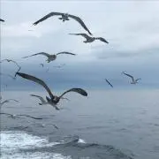 みーん☆♪☆の画像