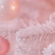 まるるの画像