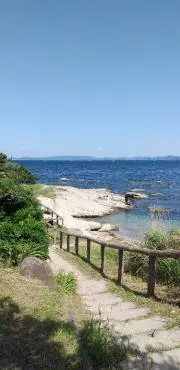 ミミのばーばの画像