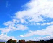 *mの画像
