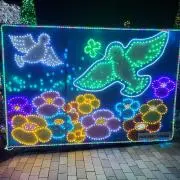 つなの画像
