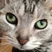 くるみ❤︎プロフ必読して下さい❤︎