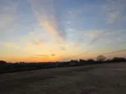 とまとの画像