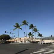 berryの画像