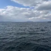 は