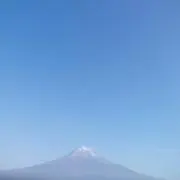 ココララの画像