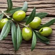 Oliveleavesの画像