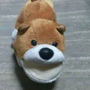 ぼんちゃんの画像