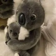 にゃ