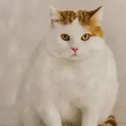 まる✳︎の画像