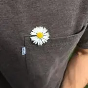 m☆☆の画像