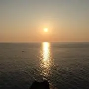 tanack-5の画像
