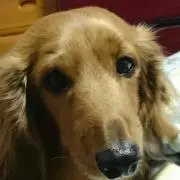 りょう