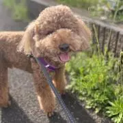 もじゃの画像