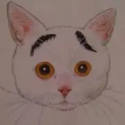 プロフ見てね♪ハチハチハチハチッペの画像