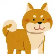 【値下げ中】じょんの画像