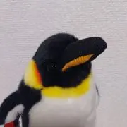 ぺんの画像