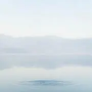 HAPTICの画像