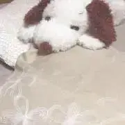 まの画像