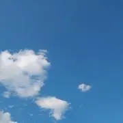 いこの画像