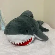 とりの画像