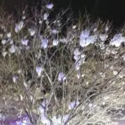 x_x184の画像