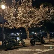 タオ