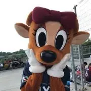 しかるん♪