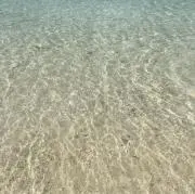 とにたにの画像