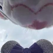み._.衣類は圧縮して発送の画像