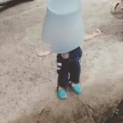 アリス