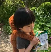 こまいの画像