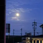 ヅキの画像