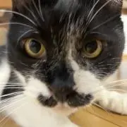 ひとちゃん