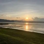 いちちの画像