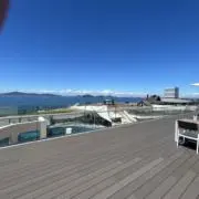 ちゃしの画像