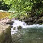 ホーリン