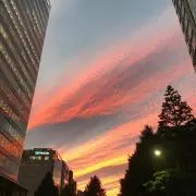 ごますけの画像