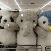 Ｒｉｎｏの画像