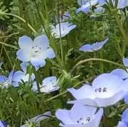 kiiiの画像