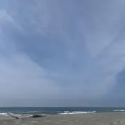 きりん