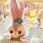 Ruuu★ちゃんの画像