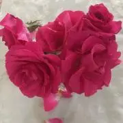 rabendaの画像