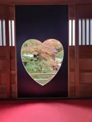 mikiの画像