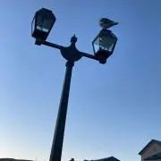 2Mの画像